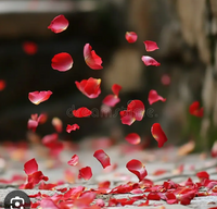 Rose Petals for emotional balance for PMS, mood elevation, protects cells and clearing skin