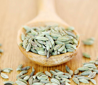 Fennel Seed is a digestive powerhouse, grounding, aids in hormonal balance, gently detoxes liver